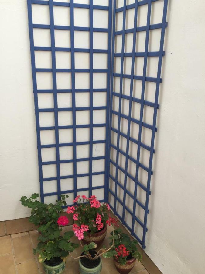 Apartamento Balneario Playa Caleta